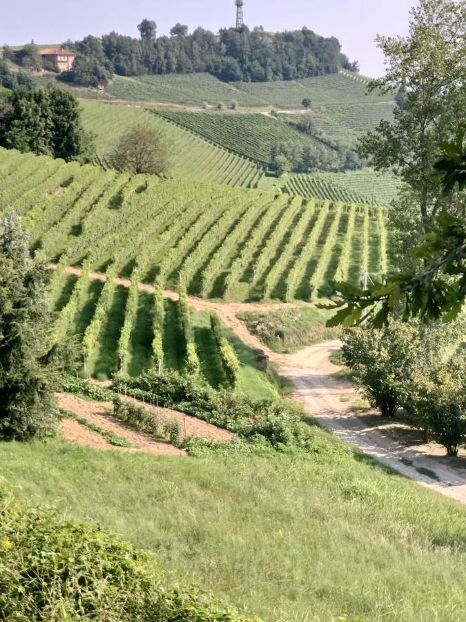 La Magia Delle Langhe Appartamenti Con Vista Novello Exterior foto